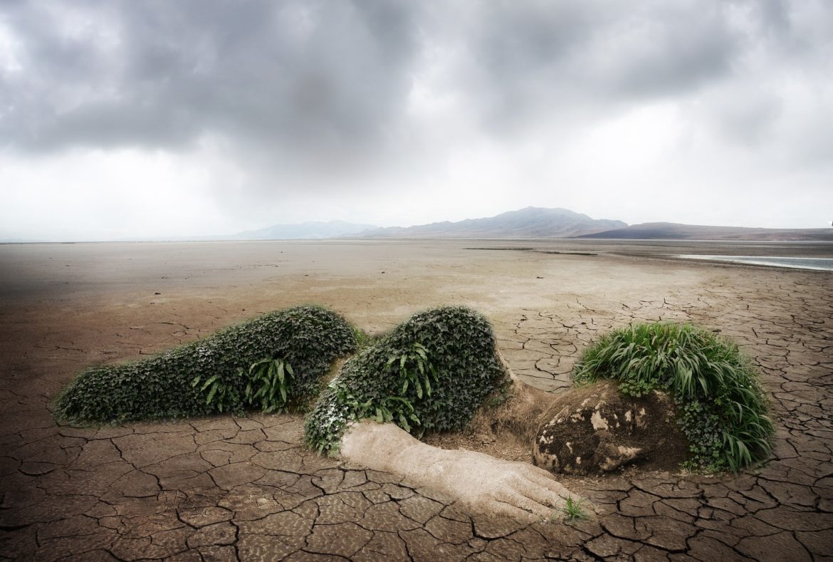 deforestation