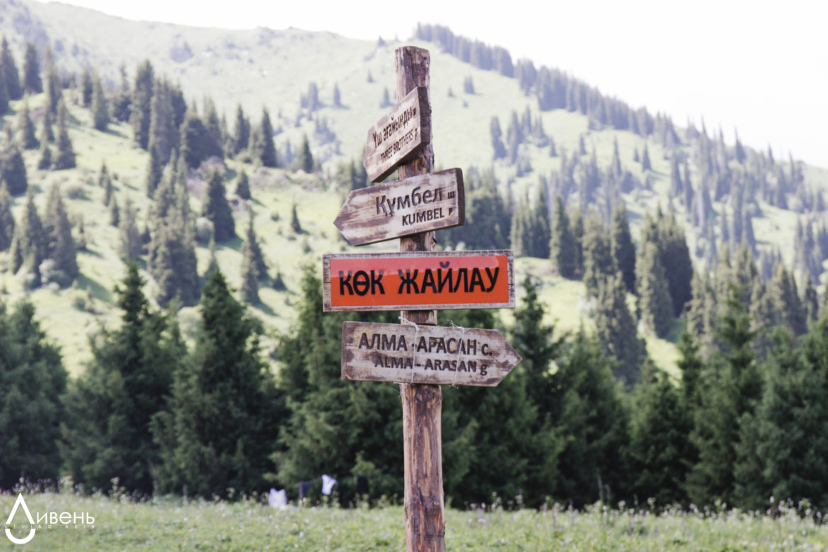 горы