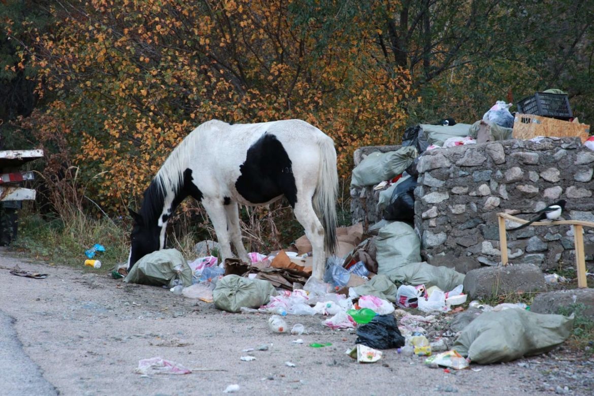 мусор.горы,лошадь