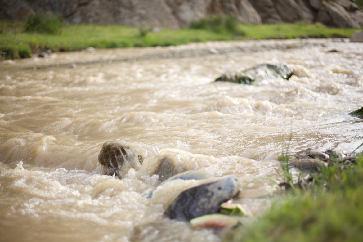 грязный водоем