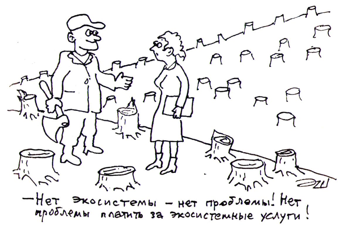 Рисунок Шукурова