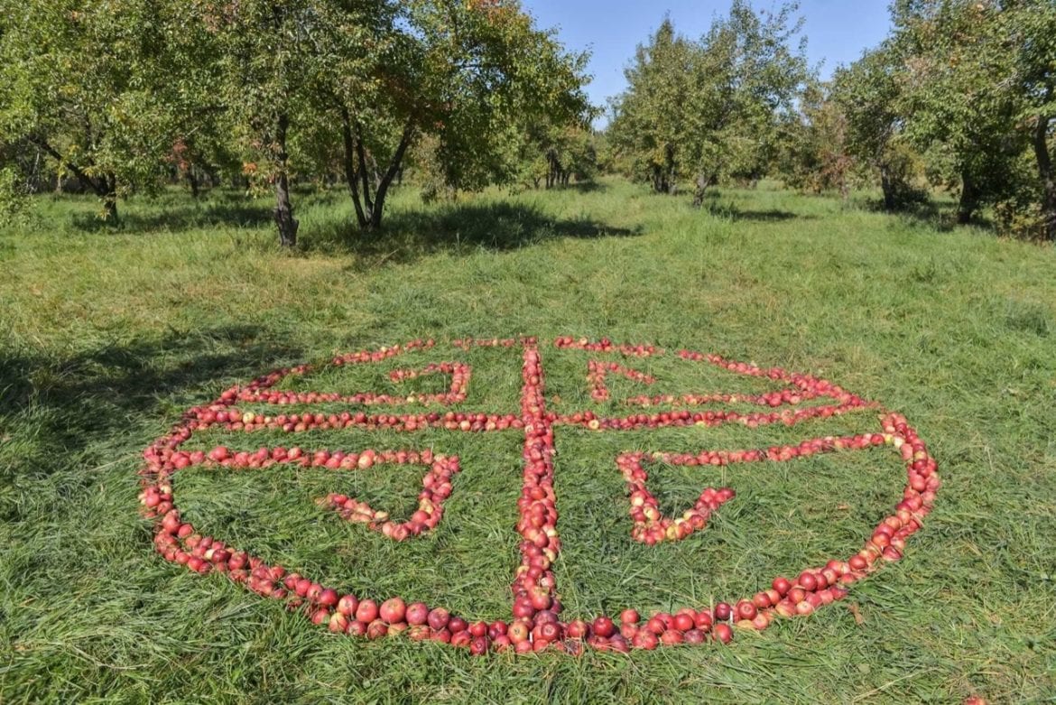 сад