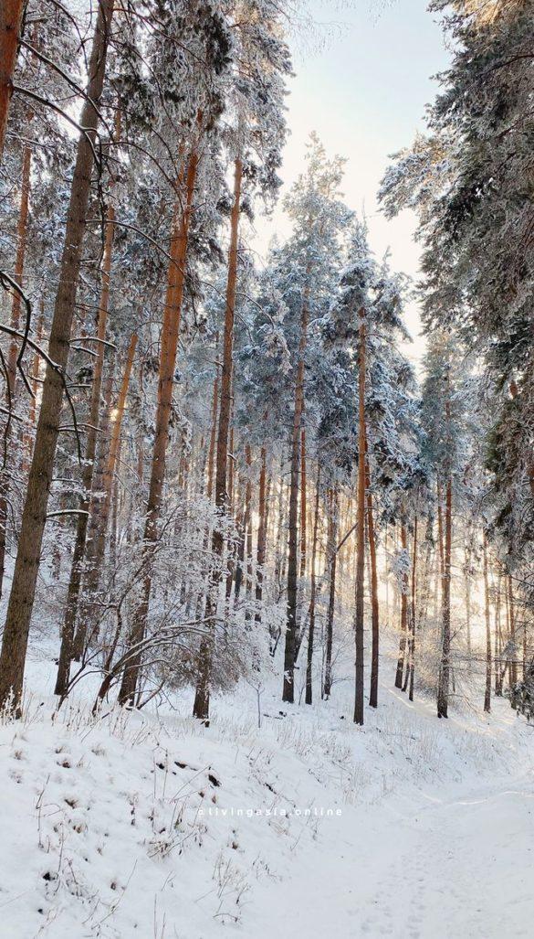декабрь