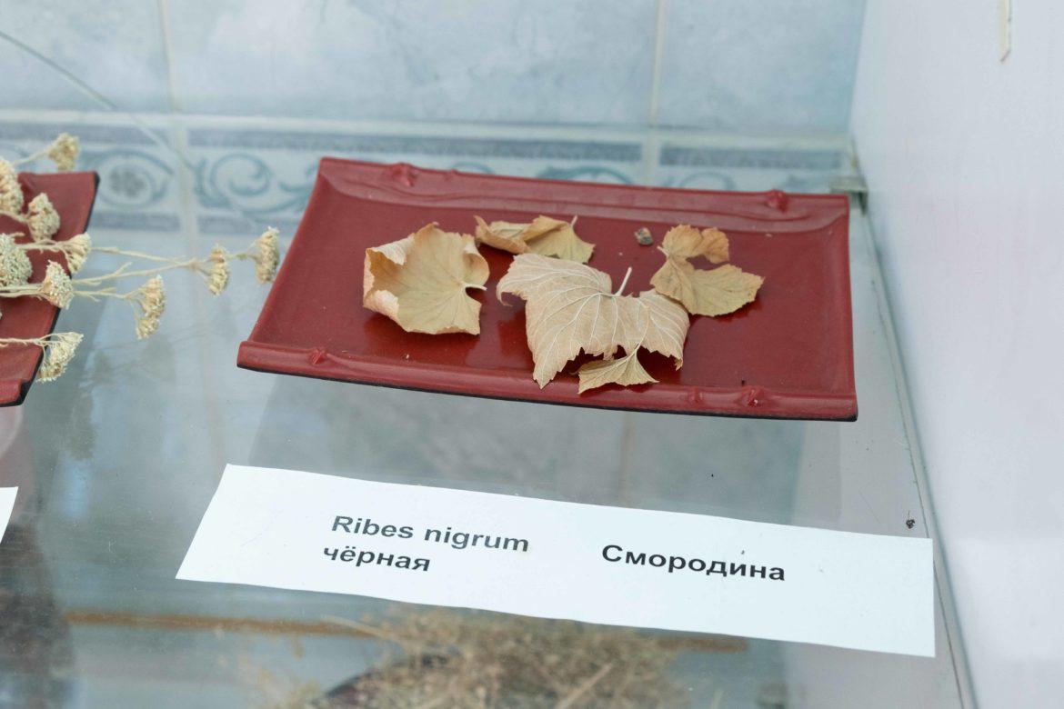 цветы