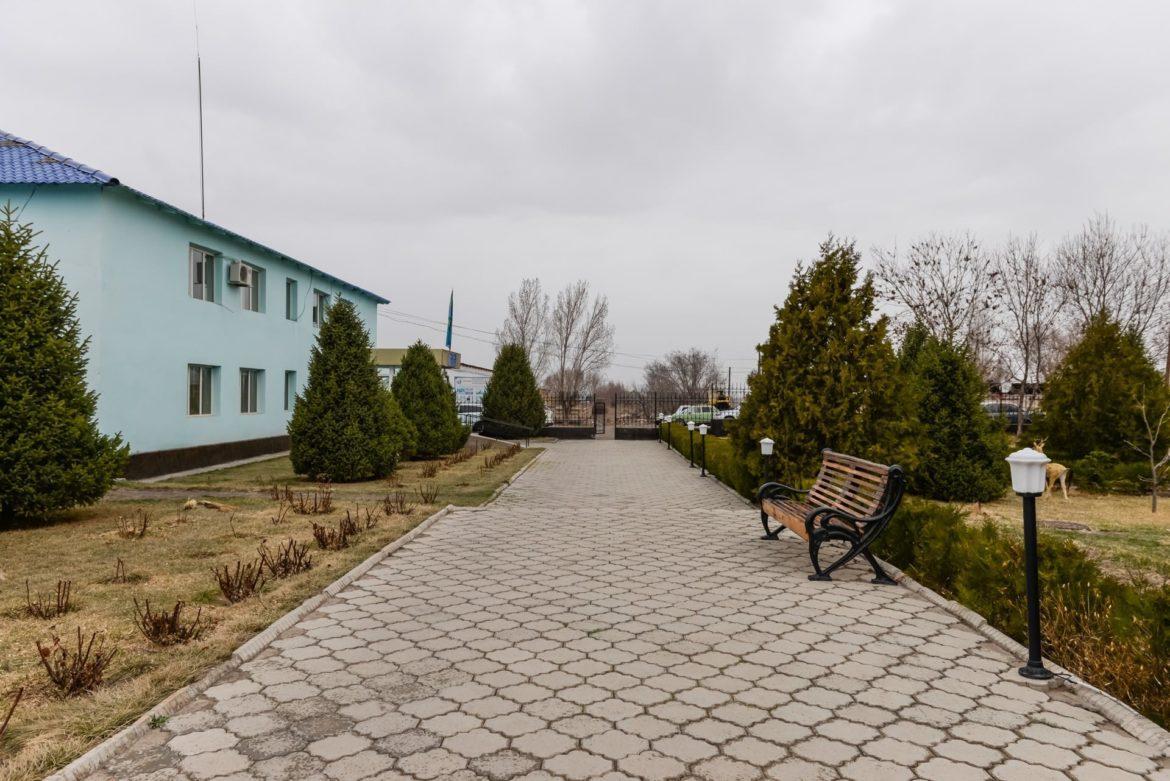 дорога
