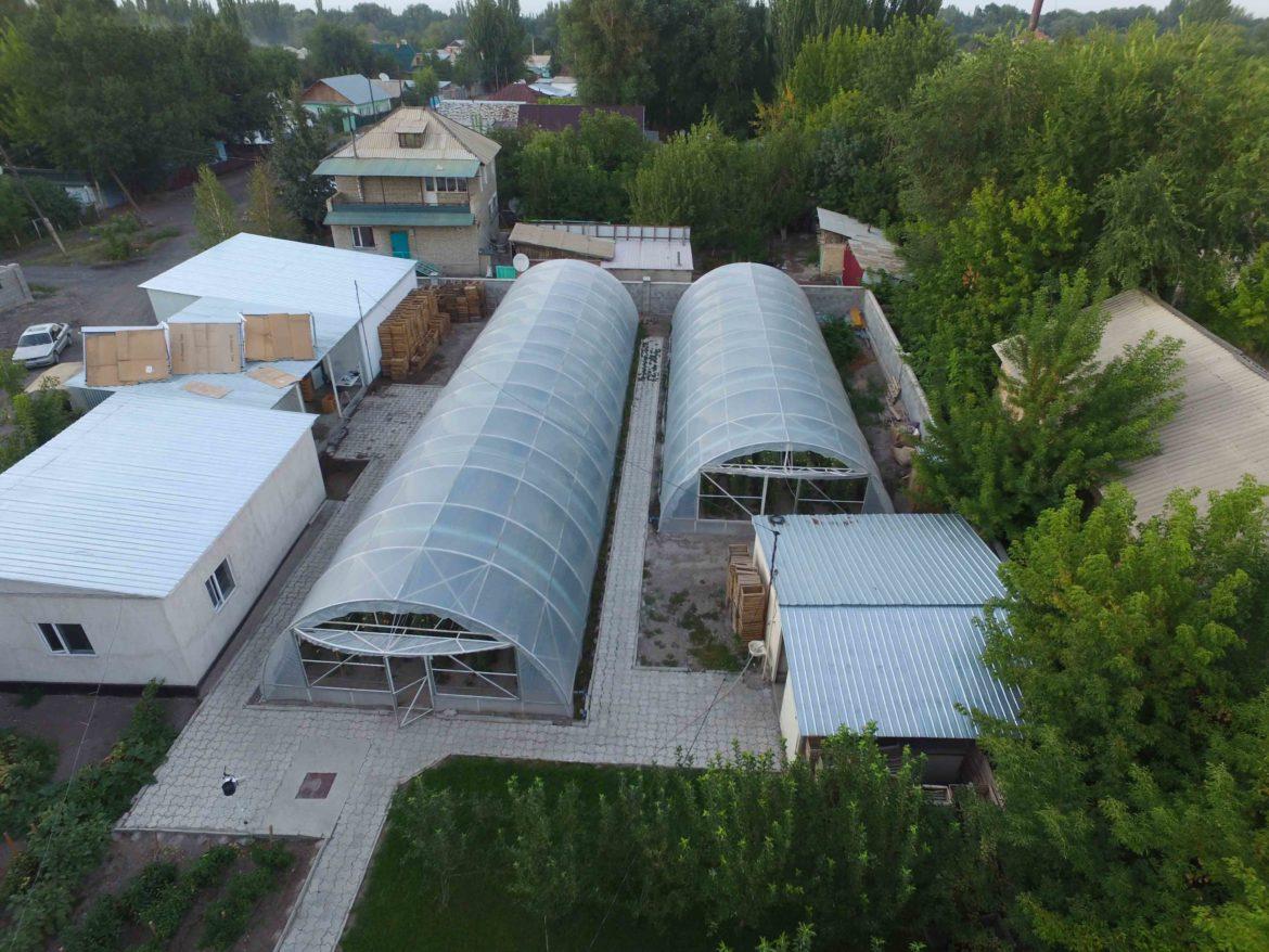 теплицы