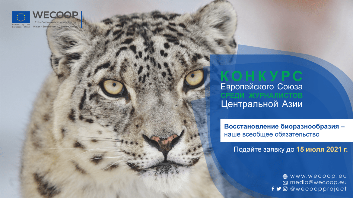 барс