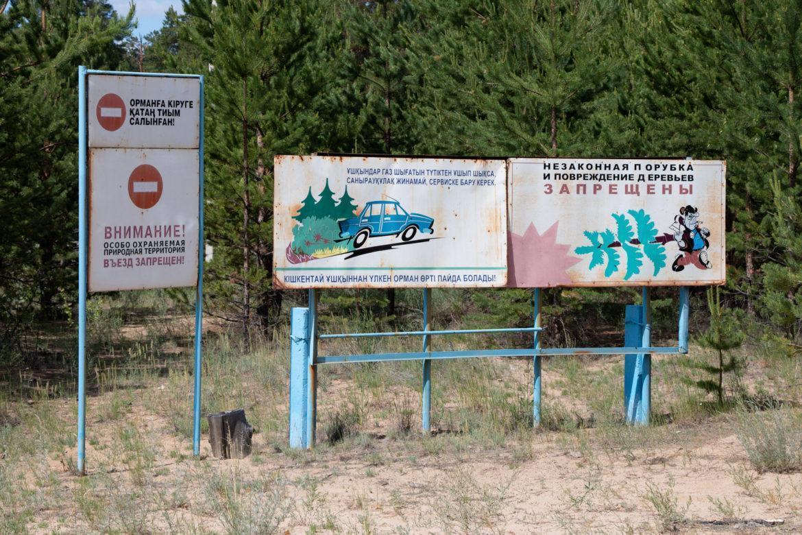 текст