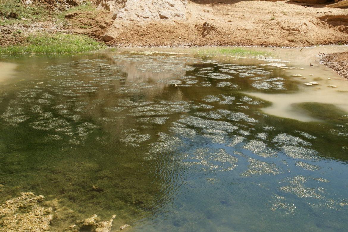 вода